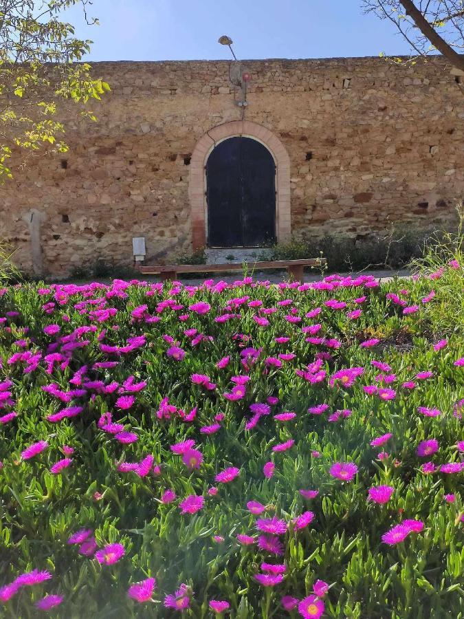 Finca Las Rosas De Santa Ana Villamartin  Ngoại thất bức ảnh
