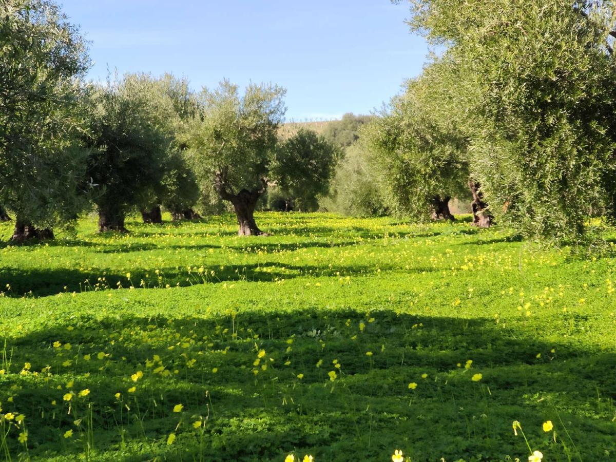 Finca Las Rosas De Santa Ana Villamartin  Ngoại thất bức ảnh