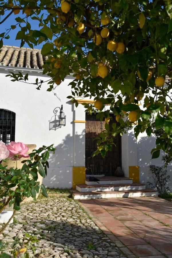 Finca Las Rosas De Santa Ana Villamartin  Ngoại thất bức ảnh