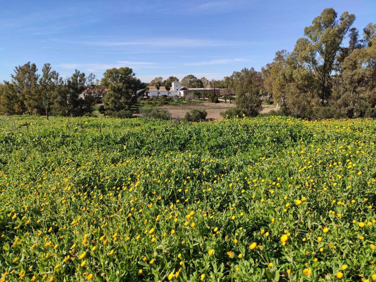 Finca Las Rosas De Santa Ana Villamartin  Ngoại thất bức ảnh